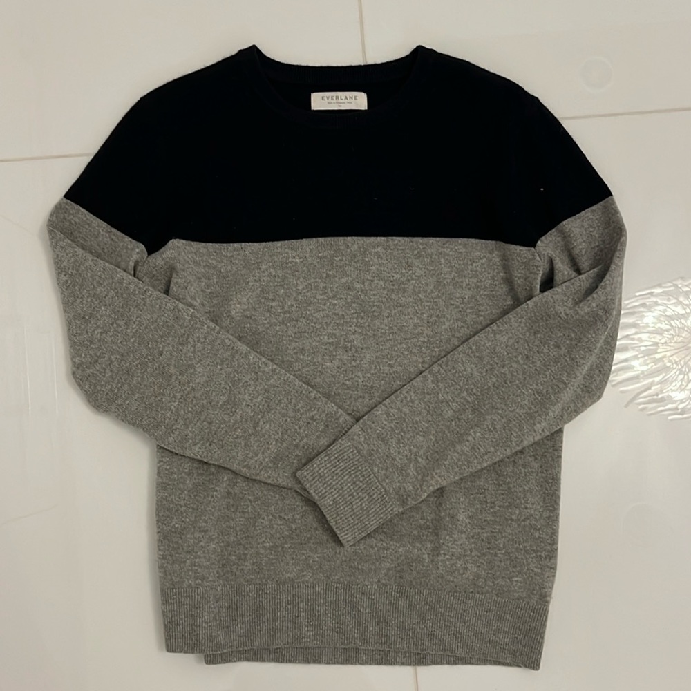 Everlane color block cashmere crewneck sweater